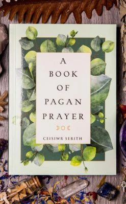 Occult Books A Book Of Pagan Prayer Witchcraft