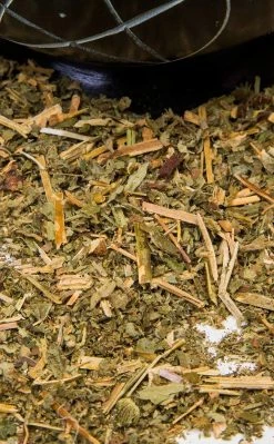 Witch Herbs Agrimony | Witchcraft Herbs 6 Witch Herbs Agrimony | Witchcraft Herbs