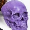Luna Moth Anatomical Skull Candle | Amethyst