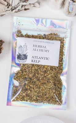 Witch Herbs Atlantic Kelp | Witchcraft Herbs