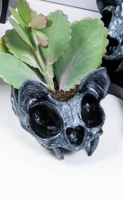 Sarah Mudle Bat Planter | Silver 14 Sarah Mudle Bat Planter | Silver