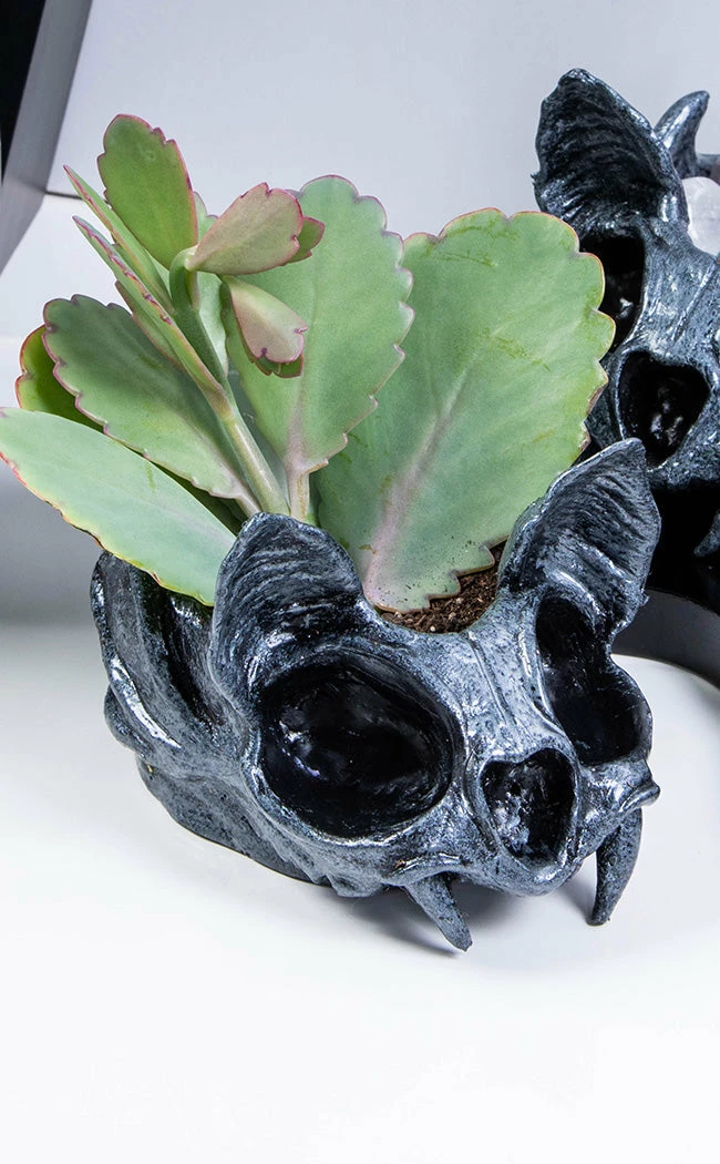 Sarah Mudle Bat Planter | Silver 7 Sarah Mudle Bat Planter | Silver