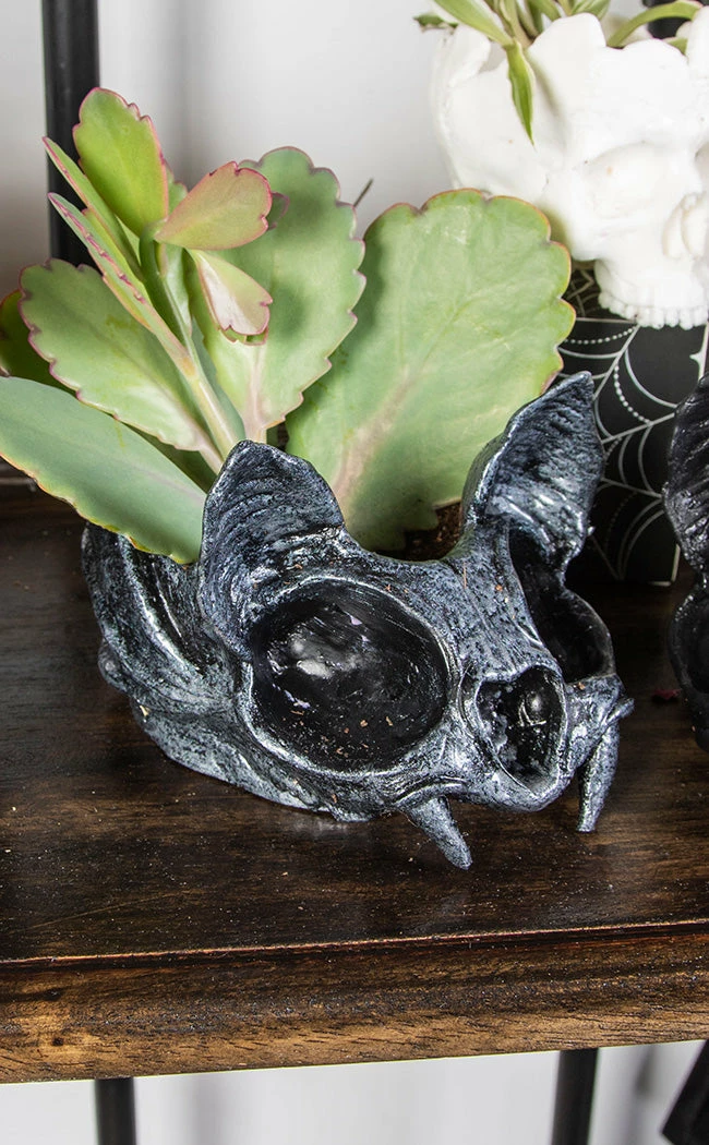 Sarah Mudle Bat Planter | Silver 3 Sarah Mudle Bat Planter | Silver