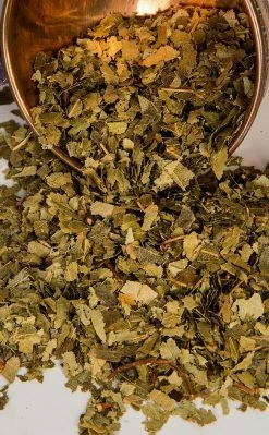 Witch Herbs Birch | Witchcraft Herbs