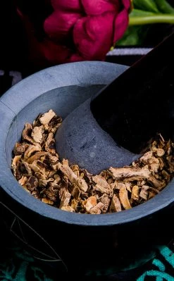 Witch Herbs Black Cohosh | Witchcraft Herbs