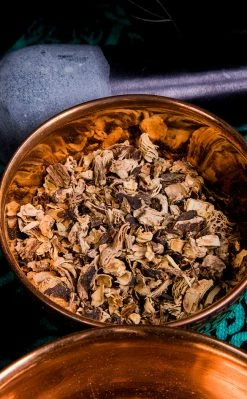 Witch Herbs Black Cohosh | Witchcraft Herbs