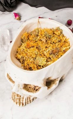 Witch Herbs Calendula | Witchcraft Herbs 11 Witch Herbs Calendula | Witchcraft Herbs