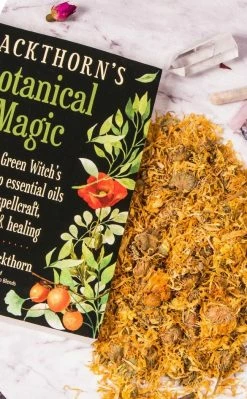 Witch Herbs Calendula | Witchcraft Herbs 12 Witch Herbs Calendula | Witchcraft Herbs