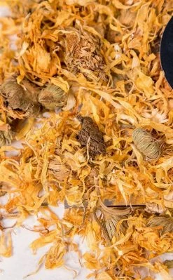 Witch Herbs Calendula | Witchcraft Herbs 14 Witch Herbs Calendula | Witchcraft Herbs