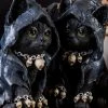 Gothic Gifts Cat Witch Statue Home & Gifts 2 Gothic Gifts Cat Witch Statue Home & Gifts