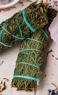 Incense Cedar Smoke Cleansing Stick | 10cm