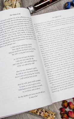 Occult Books Craft Of The Wild Witch Witchcraft