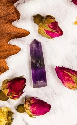 Crystals Crystal Generator Trio | Amethyst 8 Crystals Crystal Generator Trio | Amethyst