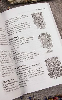 Occult Books Cunningham's Encyclopedia Magical Herbs Witchcraft 9 Occult Books Cunningham's Encyclopedia Magical Herbs Witchcraft