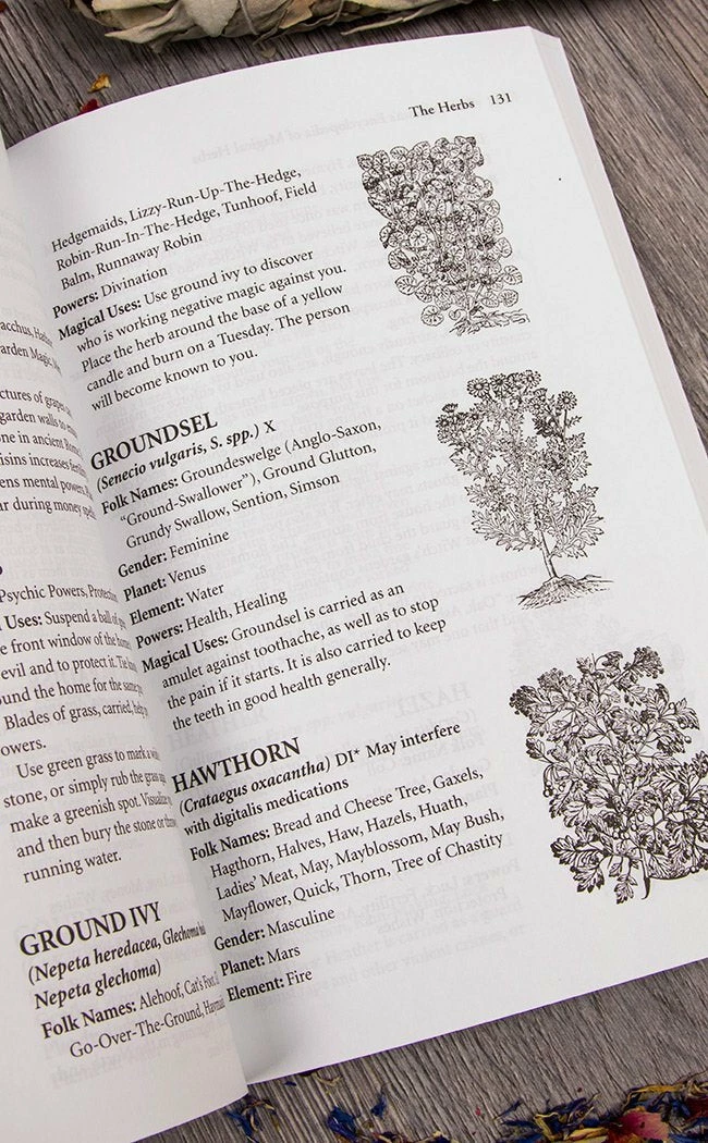 Occult Books Cunningham's Encyclopedia Magical Herbs Witchcraft 5 Occult Books Cunningham's Encyclopedia Magical Herbs Witchcraft