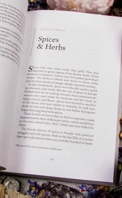 Occult Books Witchcraft Cunningham's Encyclopedia Of Wicca In The Kitchen