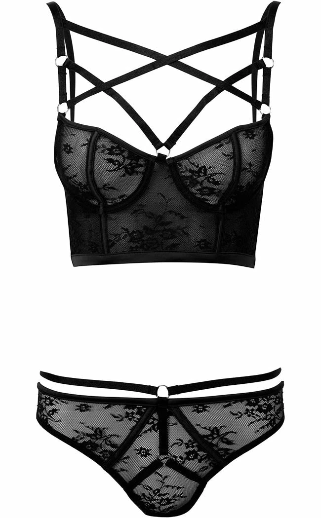 Killstar Clothing Deadly Attraction Panty | Black 5 Killstar Clothing Deadly Attraction Panty | Black