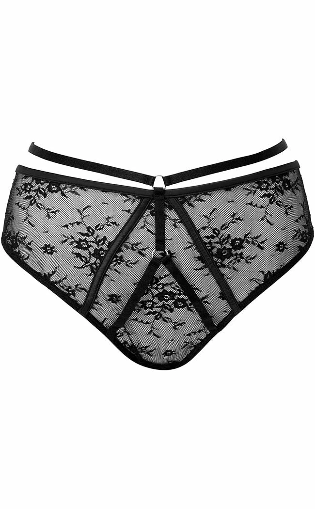 Killstar Clothing Deadly Attraction Panty | Black 3 Killstar Clothing Deadly Attraction Panty | Black