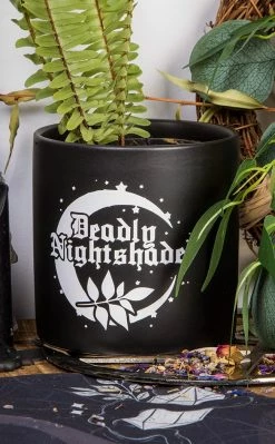 Death By Plants Home & Gifts Deadly Nightshade Plant Pot | White On Black