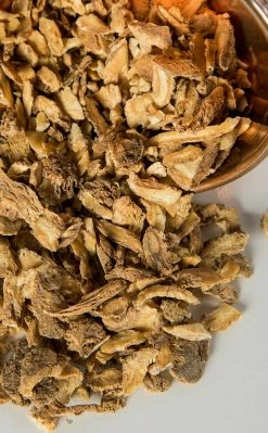 Witch Herbs Dong Quai Root | Witchcraft Herbs