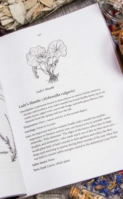 Occult Books Encyclopedia Of Natural Magic Witchcraft 9 Occult Books Encyclopedia Of Natural Magic Witchcraft