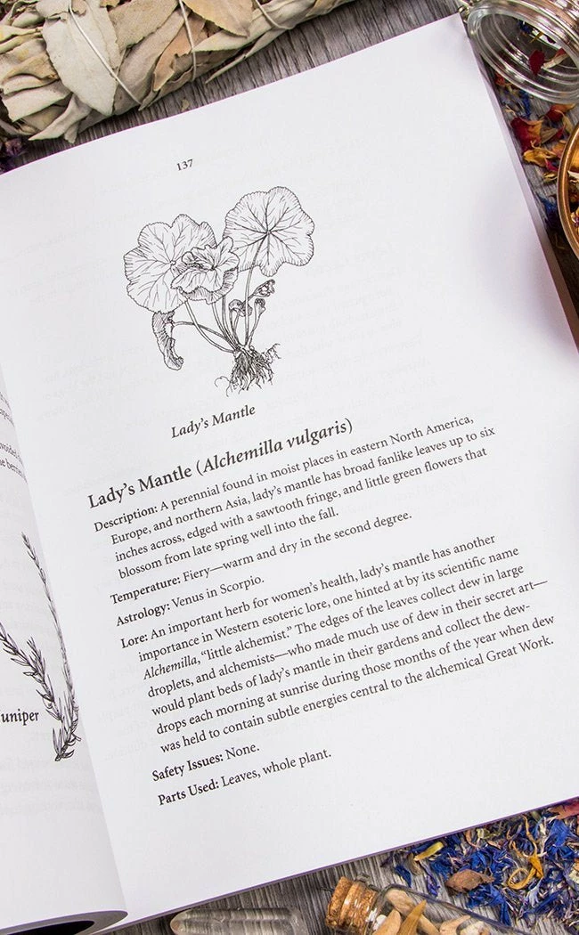 Occult Books Encyclopedia Of Natural Magic Witchcraft 5 Occult Books Encyclopedia Of Natural Magic Witchcraft