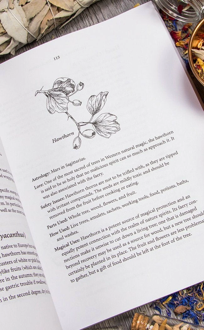 Occult Books Encyclopedia Of Natural Magic Witchcraft 6 Occult Books Encyclopedia Of Natural Magic Witchcraft