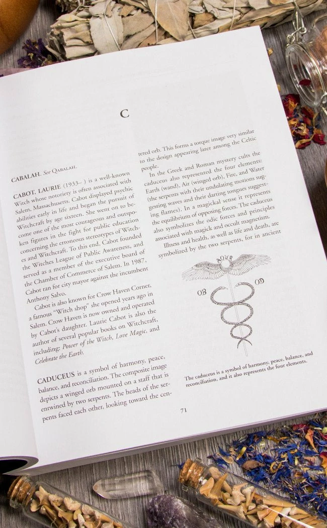 Occult Books Encyclopedia Of Wicca & Witchcraft 6 Occult Books Encyclopedia Of Wicca & Witchcraft