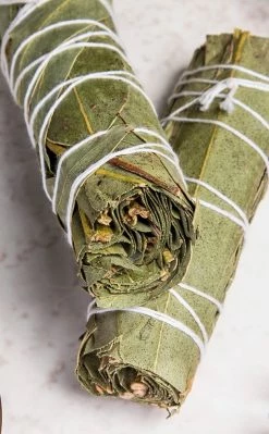 Incense Eucalyptus Smoke Cleansing Stick