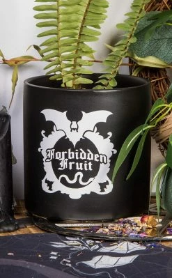 Death By Plants Forbidden Fruit Plant Pot | White On Black Home & Gifts