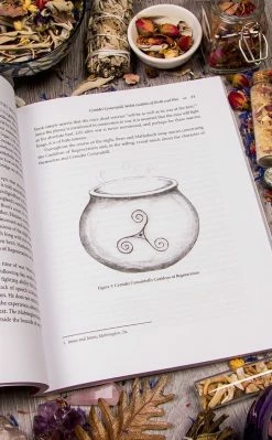 Occult Books Goddess Afoot! : Practicing Magic With Celtic And Norse Goddesses Witchcraft