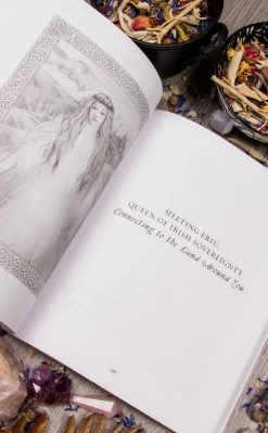 Occult Books Goddess Afoot! : Practicing Magic With Celtic And Norse Goddesses Witchcraft