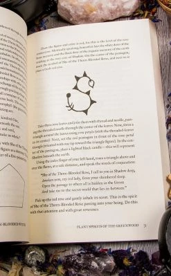 Occult Books Grimoire Of The Thorn Blooded Witch