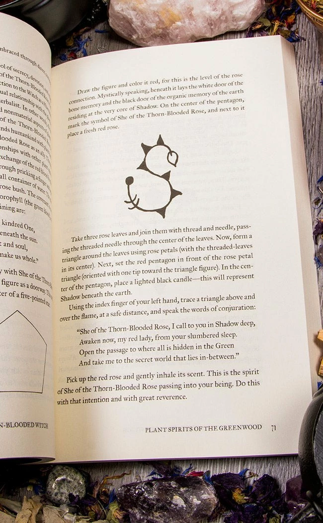 Occult Books Grimoire Of The Thorn Blooded Witch 4 Occult Books Grimoire Of The Thorn Blooded Witch