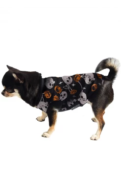 Killstar Haunted Pumpkin Pet Vest