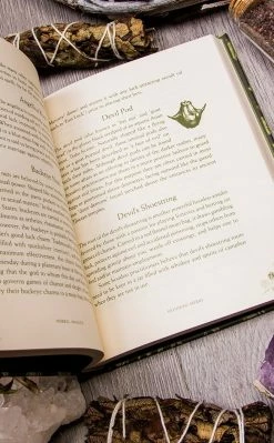 Occult Books Witchcraft Herbal Magick: A Guide To Herbal Enchantments, Folklore & Divination 10 Occult Books Witchcraft Herbal Magick: A Guide To Herbal Enchantments, Folklore & Divination