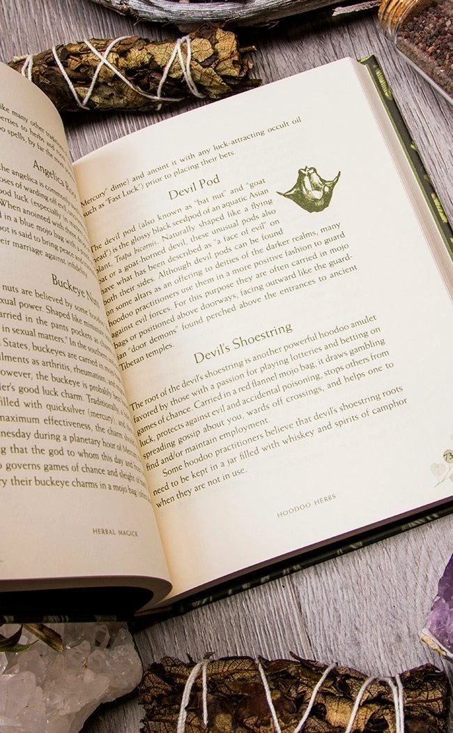 Occult Books Witchcraft Herbal Magick: A Guide To Herbal Enchantments, Folklore & Divination 6 Occult Books Witchcraft Herbal Magick: A Guide To Herbal Enchantments, Folklore & Divination