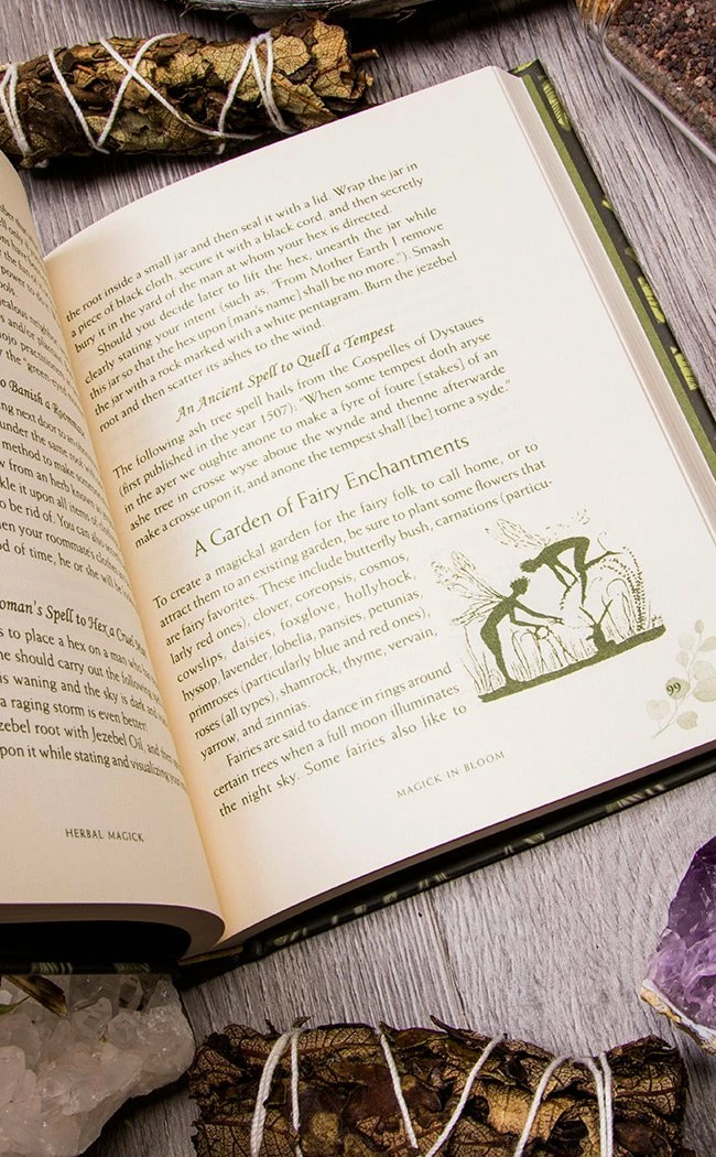 Occult Books Witchcraft Herbal Magick: A Guide To Herbal Enchantments, Folklore & Divination 7 Occult Books Witchcraft Herbal Magick: A Guide To Herbal Enchantments, Folklore & Divination