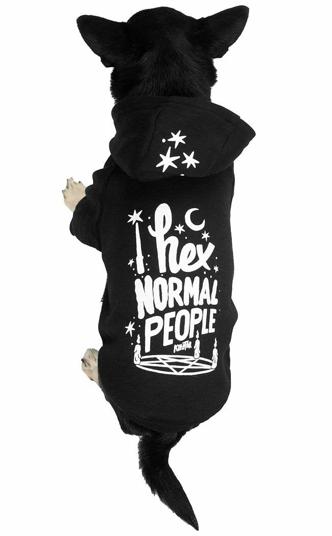 Killstar Sale Hex Pet Hoodie 4 Killstar Sale Hex Pet Hoodie