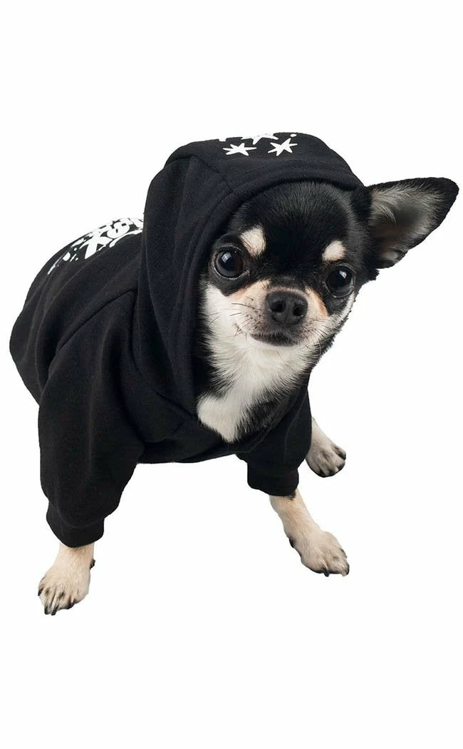 Killstar Sale Hex Pet Hoodie 5 Killstar Sale Hex Pet Hoodie