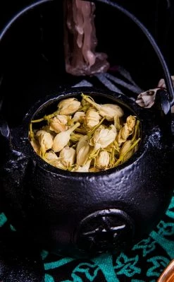Witch Herbs Jasmine Buds | Witchcraft Herbs