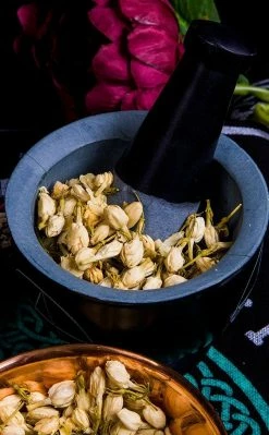 Witch Herbs Jasmine Buds | Witchcraft Herbs