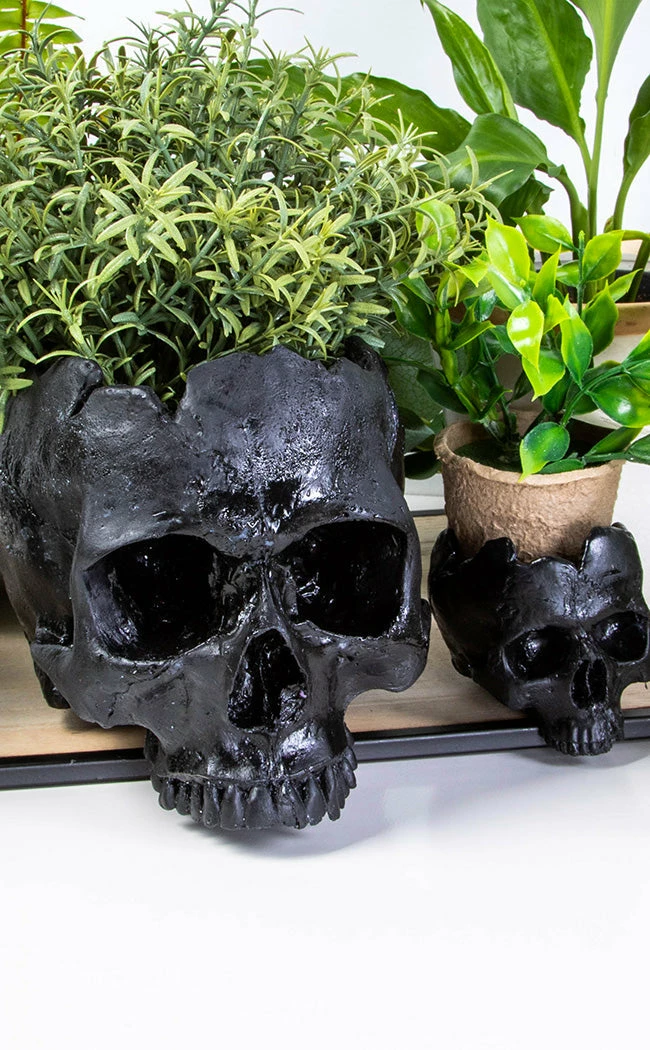 Sarah Mudle Home & Gifts Large Skull Planter | Black 4 Sarah Mudle Home & Gifts Large Skull Planter | Black