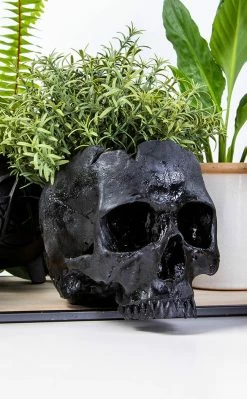 Sarah Mudle Home & Gifts Large Skull Planter | Black