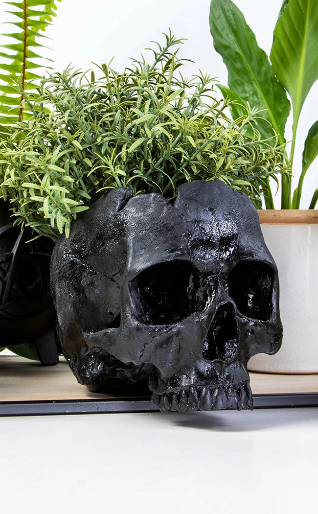 Sarah Mudle Home & Gifts Large Skull Planter | Black 3 Sarah Mudle Home & Gifts Large Skull Planter | Black