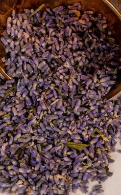 Witch Herbs Lavender | Witchcraft Herbs