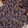 Witch Herbs Lavender | Witchcraft Herbs