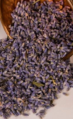 Witch Herbs Lavender | Witchcraft Herbs