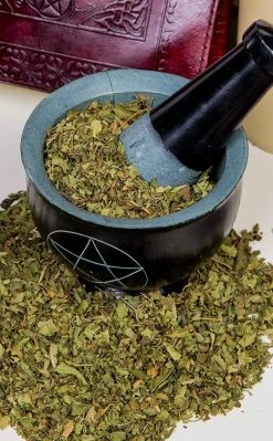 Witch Herbs Lemon Verbena | Witchcraft Herbs