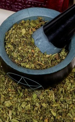Witch Herbs Lemon Verbena | Witchcraft Herbs 8 Witch Herbs Lemon Verbena | Witchcraft Herbs